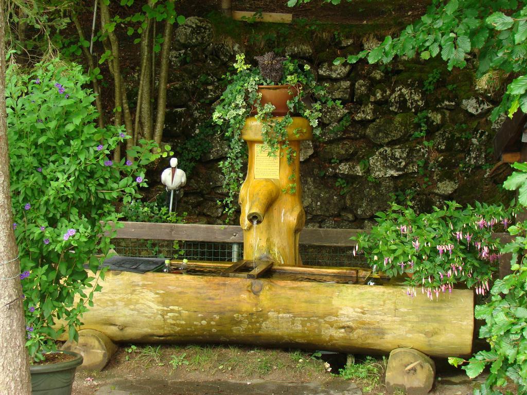 Bed and Breakfast Landhaus Teufl Faistenau Zewnętrze zdjęcie